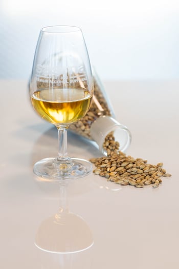 A snifter glass with amber liquid in it sitting in front of a pile of wheat berries.